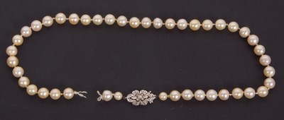 Lot 148 - A cultured pearl necklace and diamond clasp,...