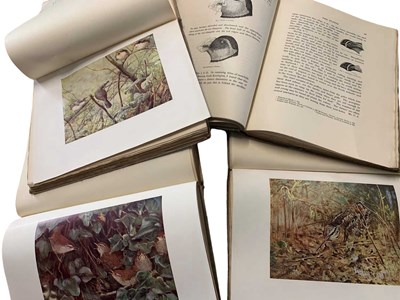 Lot 92 - F.B. Kirkman (editor), "The British Bird Book",...