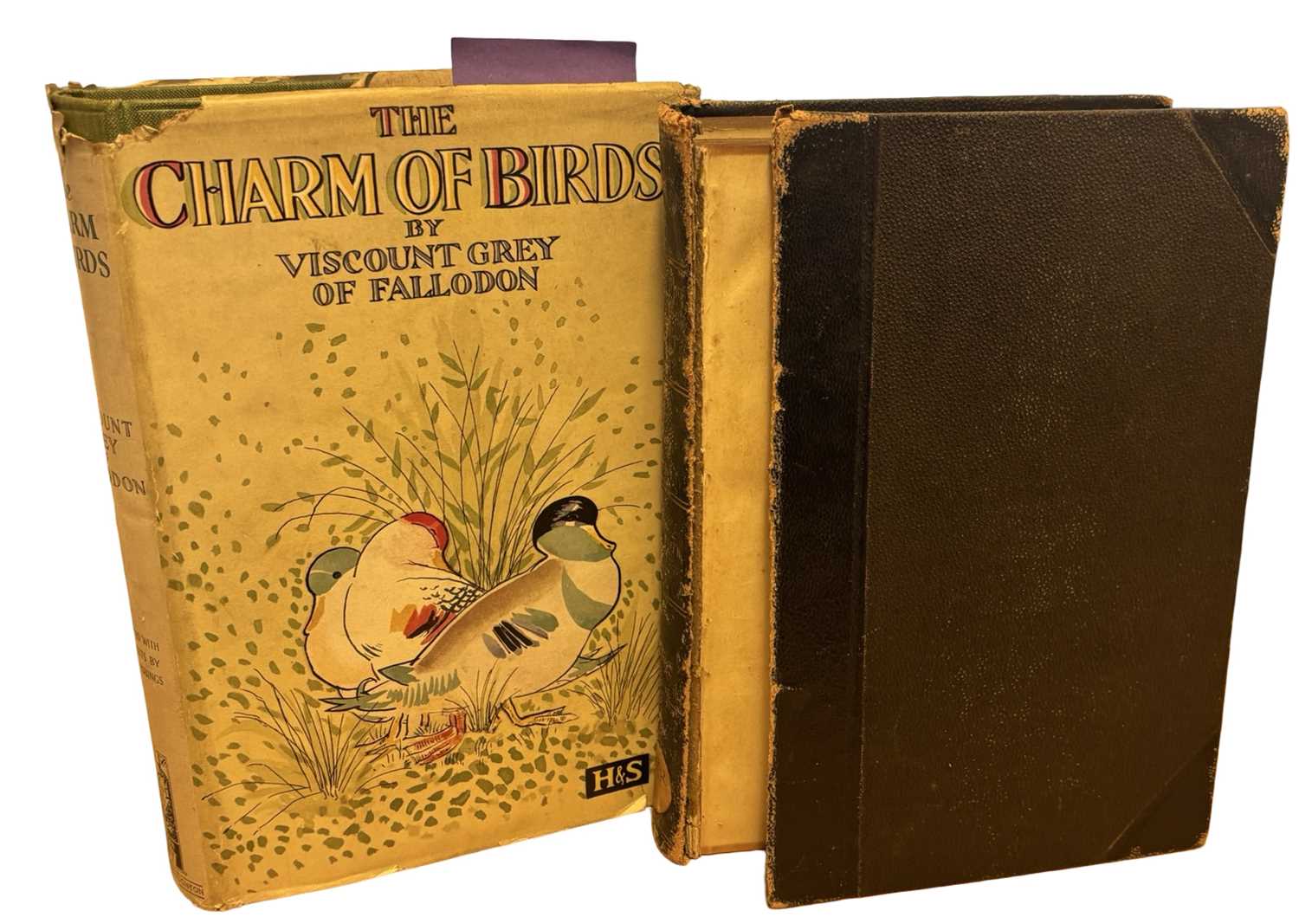 Lot 88 - ORNITHOLOGY INTEREST: 2 Titles: Viscount Grey...