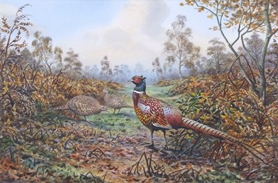 Lot 489 - Carl Donner (b.1957), Pheasants in an autumnal...