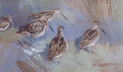 Lot 488 - Edward Frank Southgate RBA (1872-1916), Snipe,...