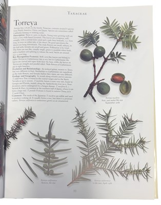 Lot 29 - ROGER PHILLIPS AND MARTYN RIX: THE BOTANICAL...