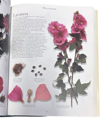 Lot 29 - ROGER PHILLIPS AND MARTYN RIX: THE BOTANICAL...