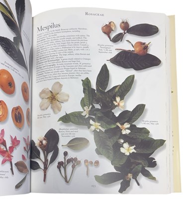 Lot 29 - ROGER PHILLIPS AND MARTYN RIX: THE BOTANICAL...