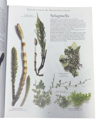 Lot 29 - ROGER PHILLIPS AND MARTYN RIX: THE BOTANICAL...