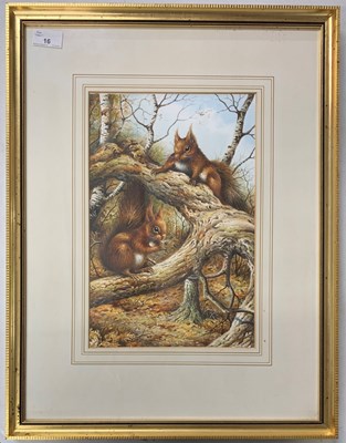 Lot 16 - Carl Donner (b.1957), Red Squirells,...
