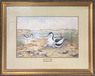 Lot 26 - Carl Donner (b.1957), 'Avocets at Blakeney...