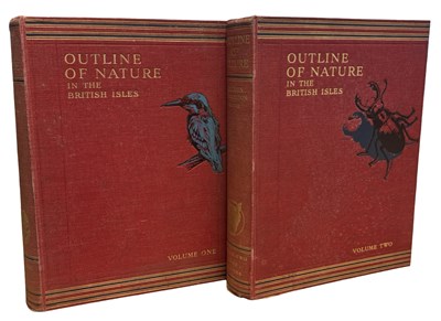 Lot 77 - JOHN HAMMERTON (Ed): OUTLINE OF NATURE IN THE...