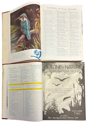Lot 77 - JOHN HAMMERTON (Ed): OUTLINE OF NATURE IN THE...