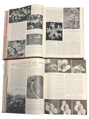 Lot 77 - JOHN HAMMERTON (Ed): OUTLINE OF NATURE IN THE...
