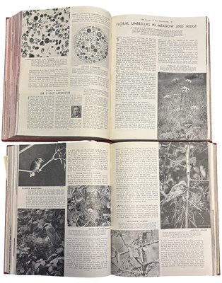Lot 77 - JOHN HAMMERTON (Ed): OUTLINE OF NATURE IN THE...