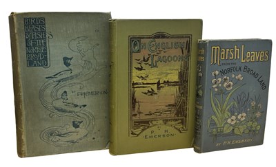 Lot 628 - P H EMERSON: 3 Titles: BIRDS, BEASTS AND...