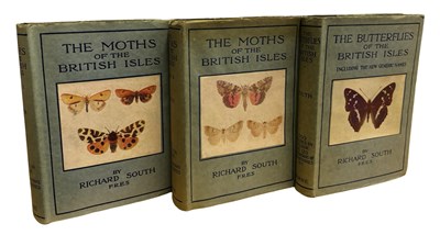 Lot 43 - RICHARD SOUTH: 2 Titles: THE MOTHS OF THE...
