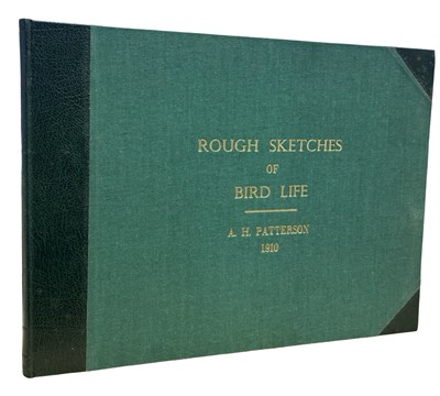 Lot 673 - A H PATTERSON: ROUGH SKETCHES OF BIRD-LIFE,...