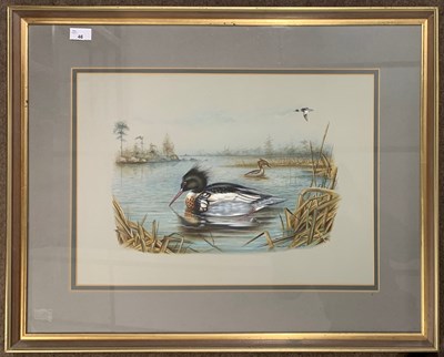 Lot 46 - Carl Donner (b.1957) Merganser on the water,...