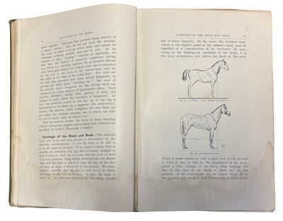Lot 71 - M HORACE HAYES: POINTS OF THE HORSE - A...