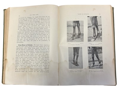 Lot 71 - M HORACE HAYES: POINTS OF THE HORSE - A...
