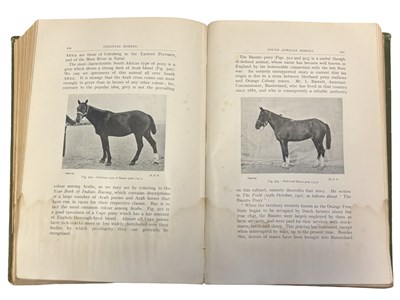 Lot 71 - M HORACE HAYES: POINTS OF THE HORSE - A...