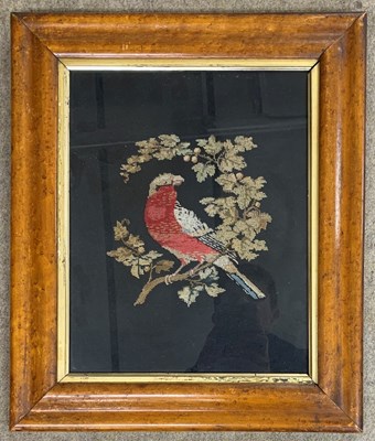 Lot 4 - 19th century embroidery of a Chaffinch,...