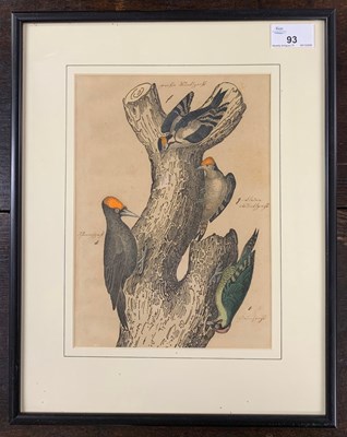 Lot 93 - Johann Friedrich Naumann (1780-1857), Study of...