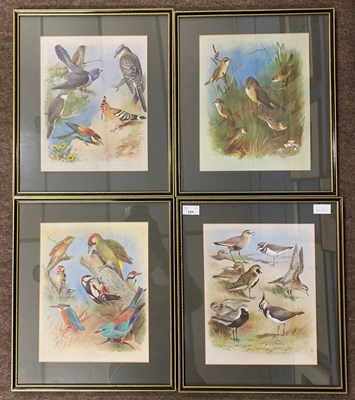 Lot 73 - After Archibald Thorburn (1860-1935), Group of...