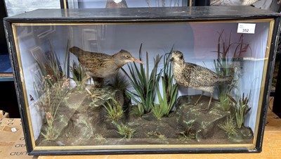 Lot 352 - Antique Taxidermy - A cased study of a Water...