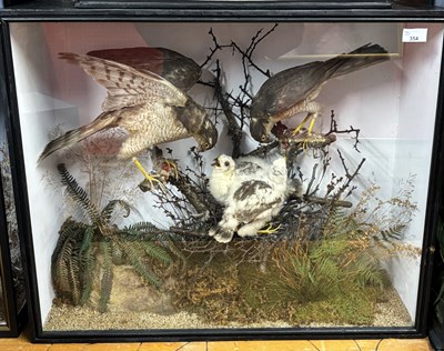 Lot 354 - Antque Taxidermy - a late 19th Century...