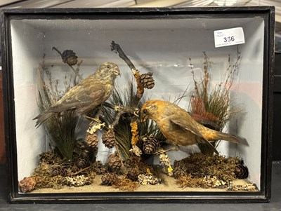 Lot 356 - Antique Taxidery - A late Victorian of a pair...