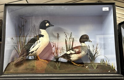 Lot 360 - Antique Taxidermy - Late 19th or early 20th...