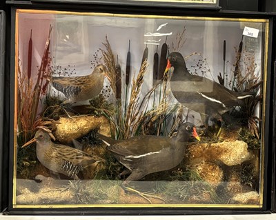 Lot 365 - Antique Taxidermy - A late Victorian or early...