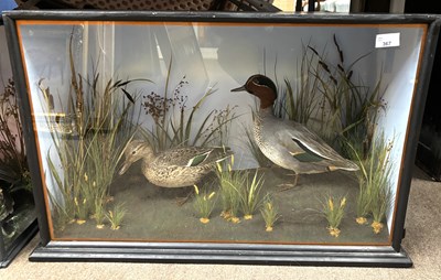 Lot 367 - A contemporary study of a pair of Teal ducks...