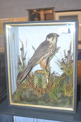 Lot 373 - Antique Taxidermy - A late Victorian or early...