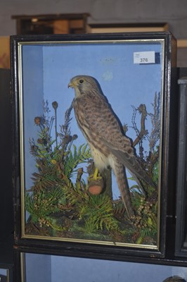 Lot 376 - Antique Taxidermy - A late 19th or early 20th...