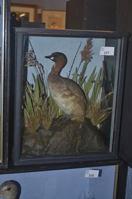 Lot 377 - Antique Taxidermy - A Victorian or early 20th...