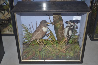 Lot 379 - Antique Taxidermy - Late 19th or early 20th...