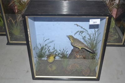 Lot 383 - Antique Taxidermy - An early 20th Century...