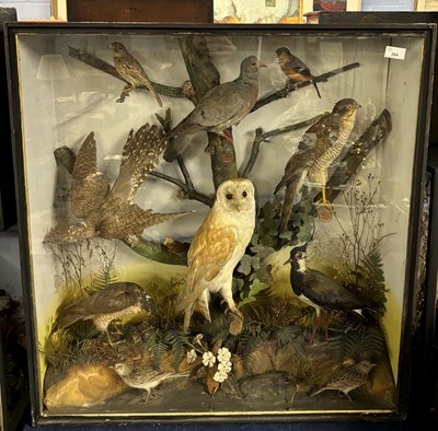 Lot 384 - A large Victorian diorama of taxidermy birds...