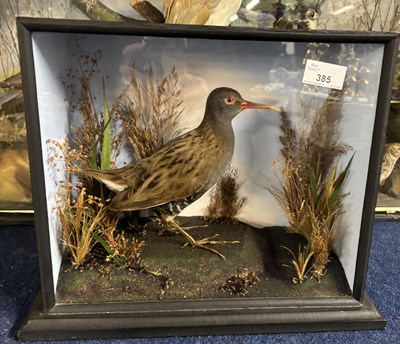 Lot 385 - Antique Taxidermy - A Victorian study of a...