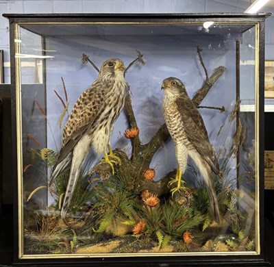 Lot 386 - Antique Taxidermy - A late Victorian or early...