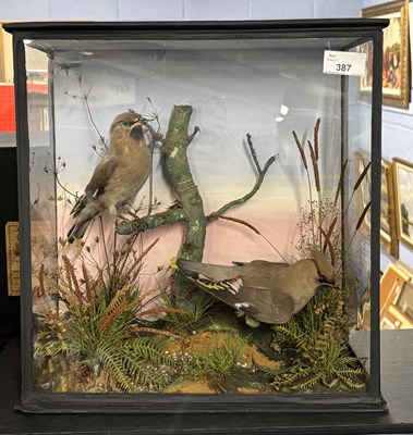 Lot 387 - Antique Taxidermy - A pair of late 19th or...