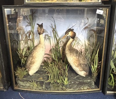 Lot 388 - Antique Taxidermy - A pair of late 19th or...