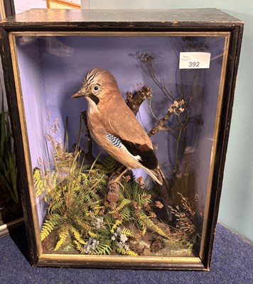 Lot 392 - Antique Taxidermy - A Victorian study of a Jay...