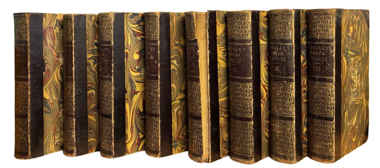 Lot 44 - E DONOVAN: THE NATURAL HISTORY OF BRITISH...