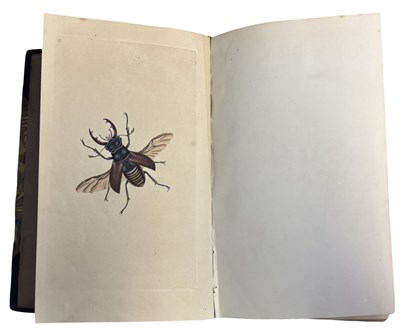 Lot 44 - E DONOVAN: THE NATURAL HISTORY OF BRITISH...