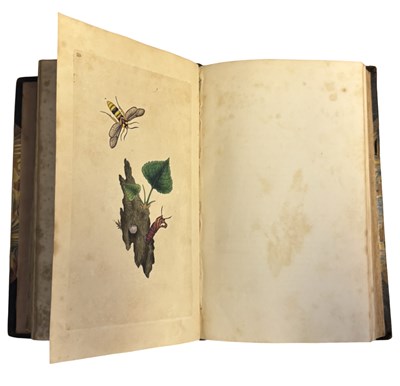 Lot 44 - E DONOVAN: THE NATURAL HISTORY OF BRITISH...