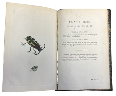 Lot 44 - E DONOVAN: THE NATURAL HISTORY OF BRITISH...