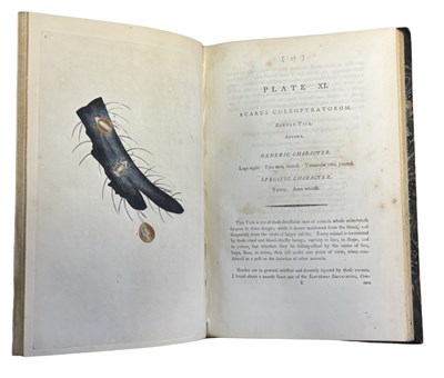 Lot 44 - E DONOVAN: THE NATURAL HISTORY OF BRITISH...