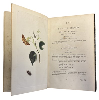 Lot 44 - E DONOVAN: THE NATURAL HISTORY OF BRITISH...