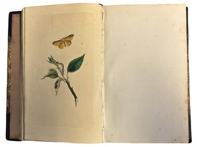 Lot 44 - E DONOVAN: THE NATURAL HISTORY OF BRITISH...