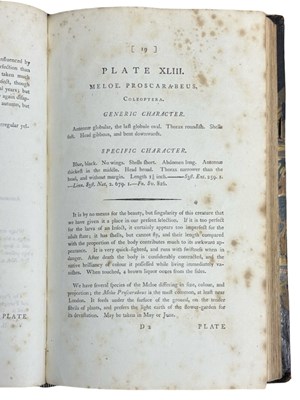 Lot 44 - E DONOVAN: THE NATURAL HISTORY OF BRITISH...